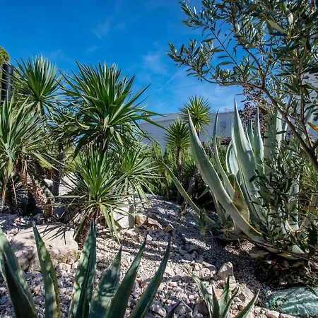 House Dolin וילה ראב